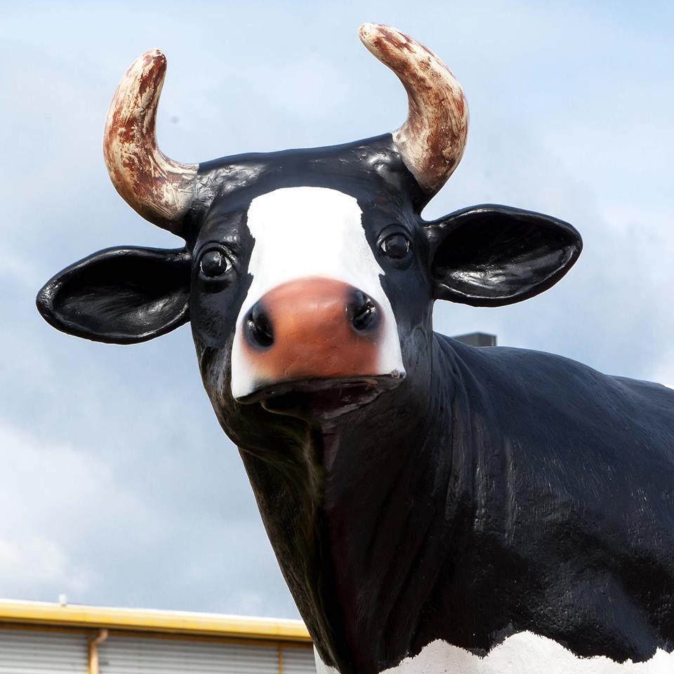 Milton Keynes Cows, Bucks Biz Centres